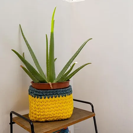 Apartmán Yolo House -
